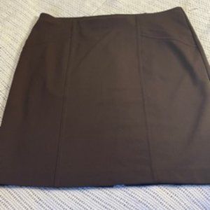 Express Mini Pencil Skirt